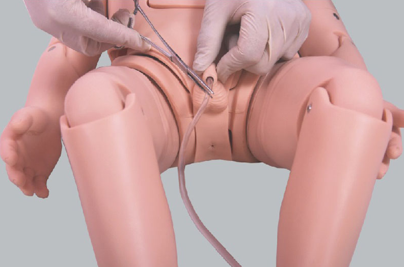 小兒導尿模型（xíng）