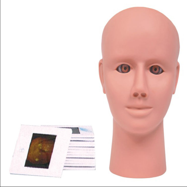 高級眼內視網膜病變檢（jiǎn）查（chá）模型