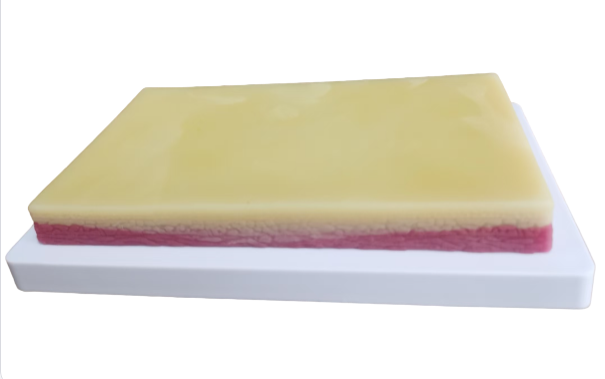 高級（jí）皮膚肌肉縫合練習模塊