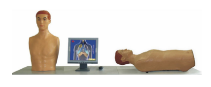 （網絡版）智能化心肺檢査和腹部檢査教學係統