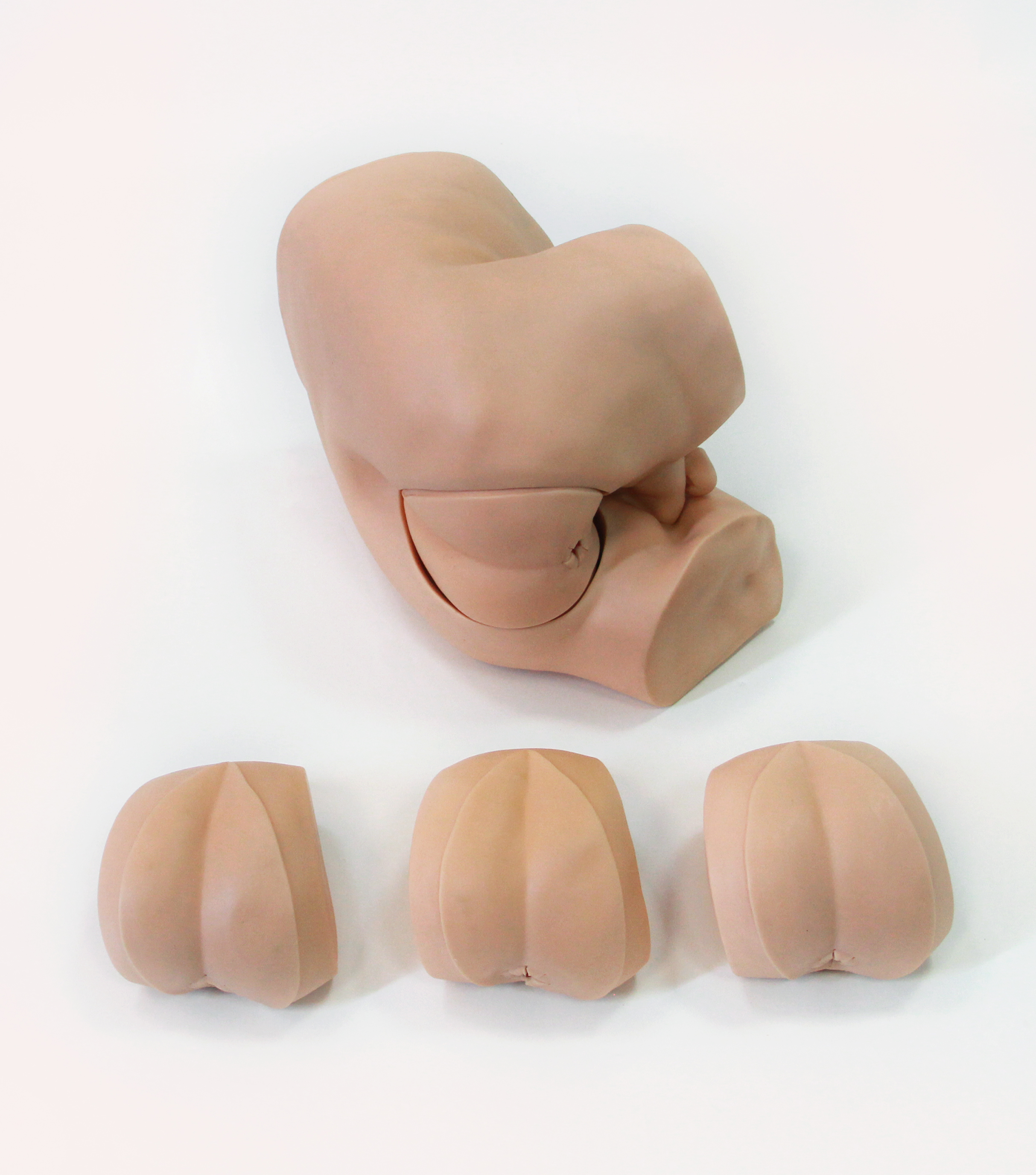 高級直腸指診檢查模型