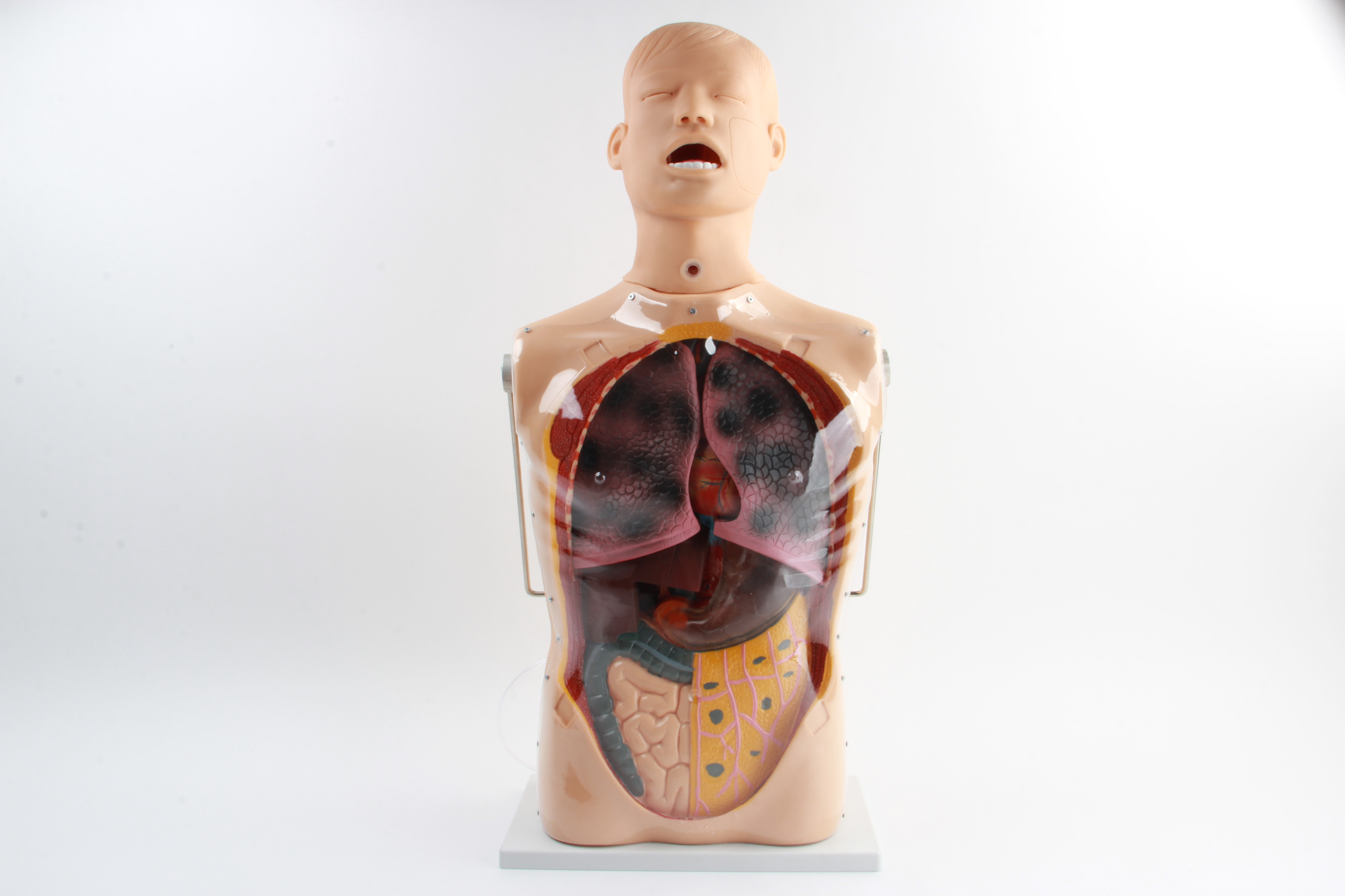 三腔二囊管訓練模型