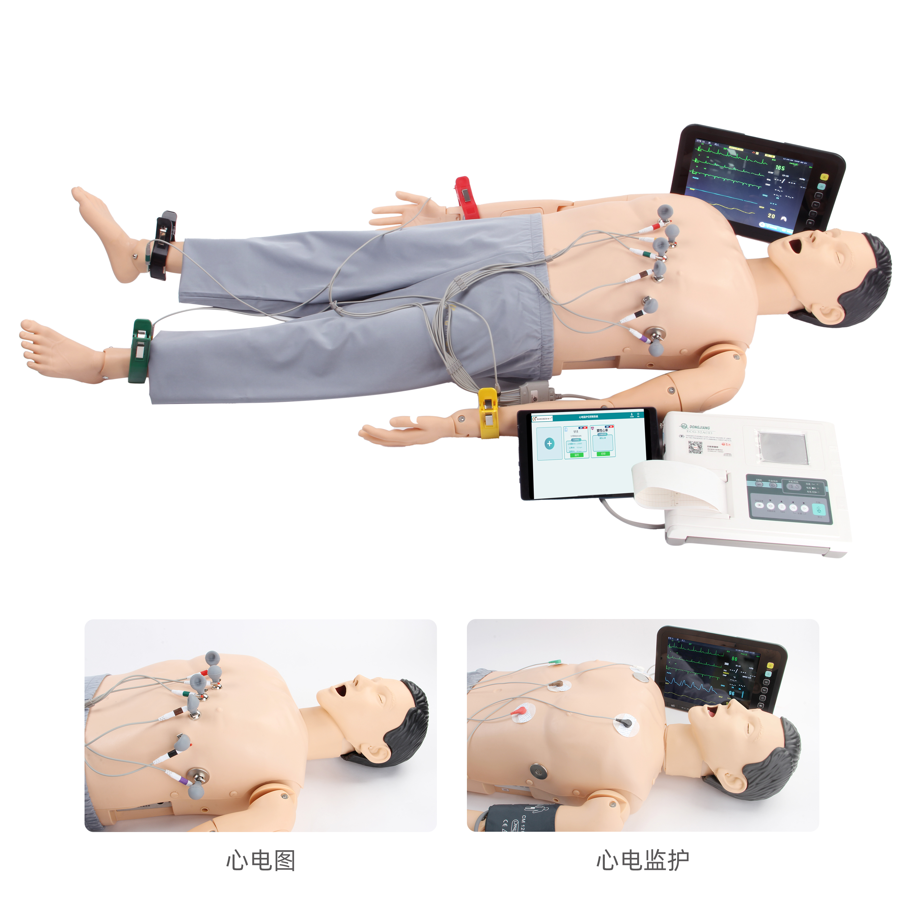 高級（jí）心電監護訓練模擬人（rén）