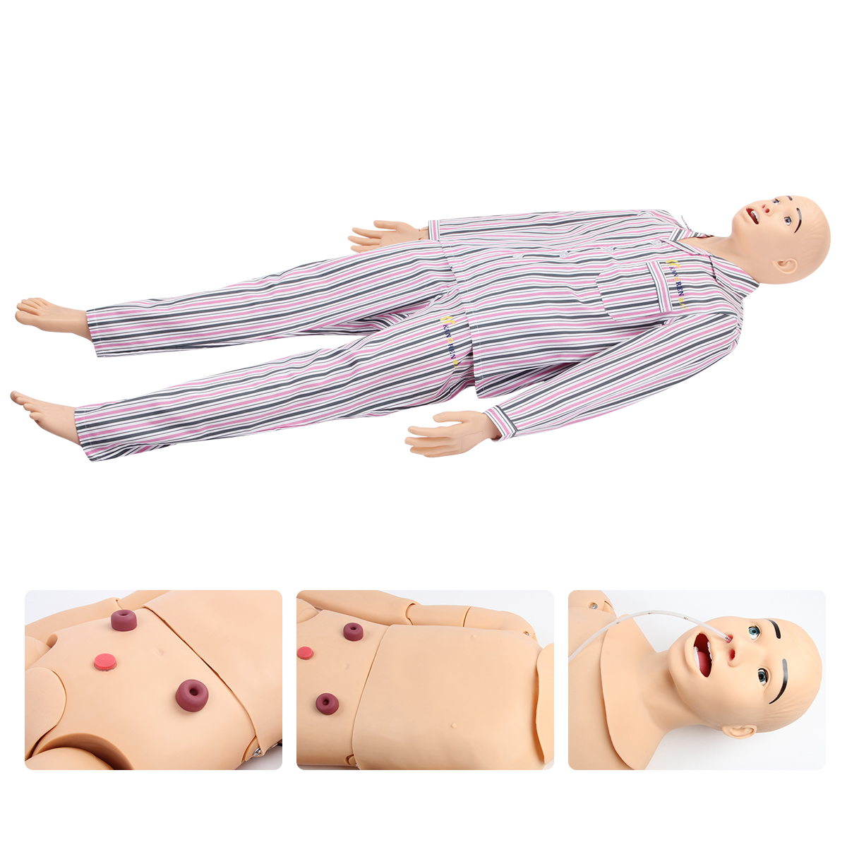 鼻胃管護理模擬人