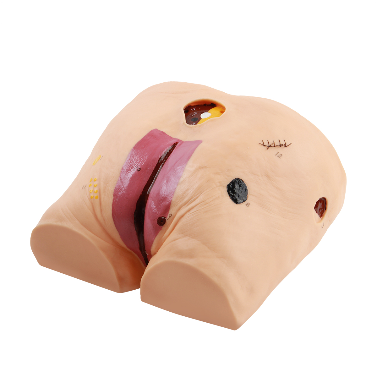 高（gāo）級褥瘡護理模（mó）型