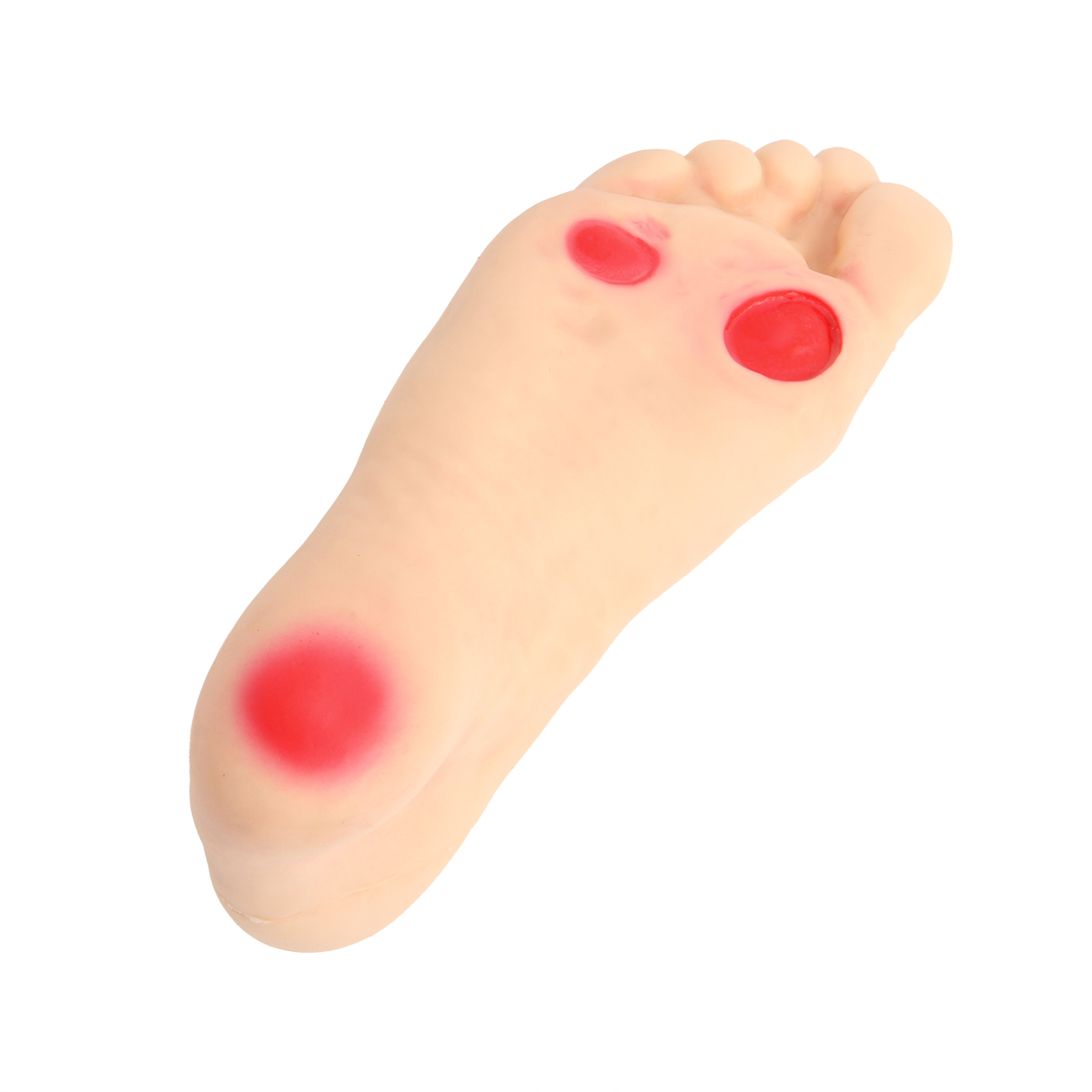  高級糖尿病足護理模型