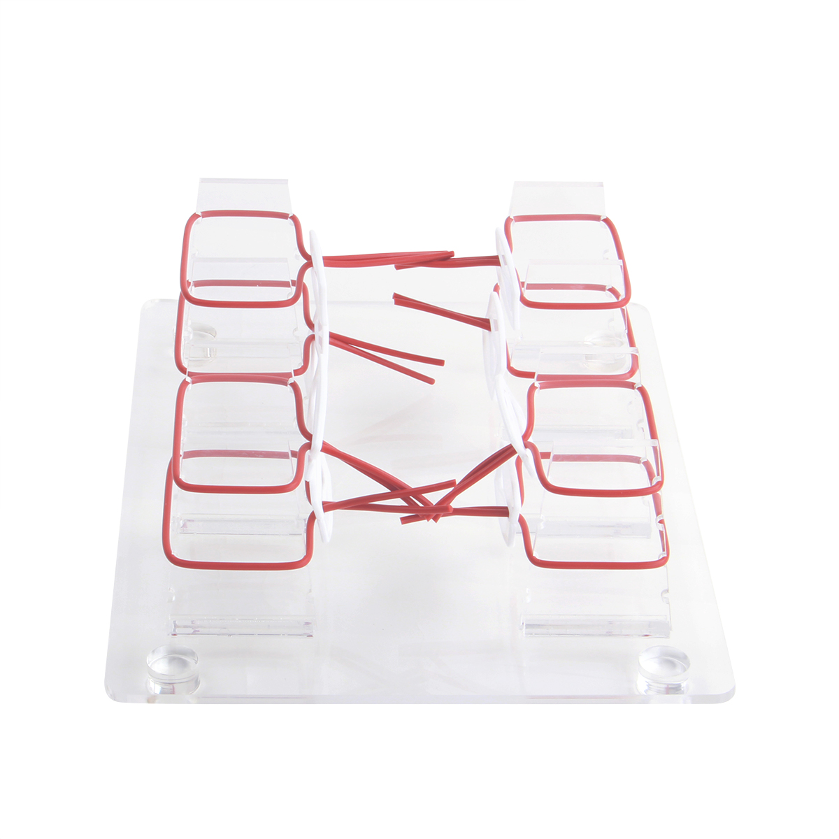 淺（qiǎn）表打結技能訓練模型