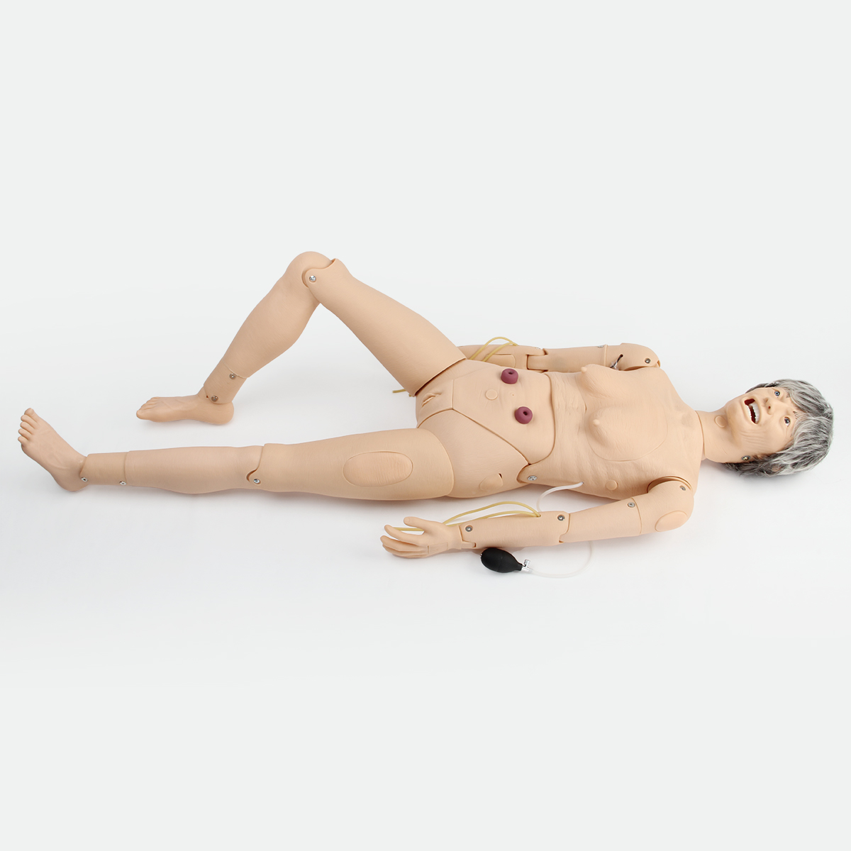 高級全功能老年護理人（女性）