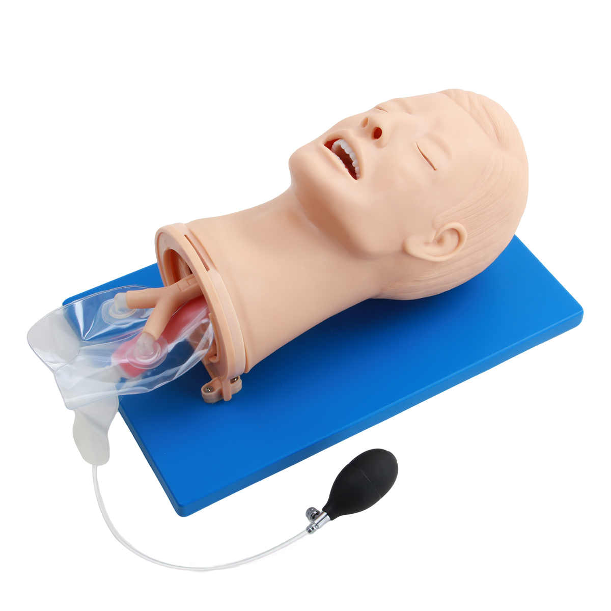 高級多功能氣道管理模型