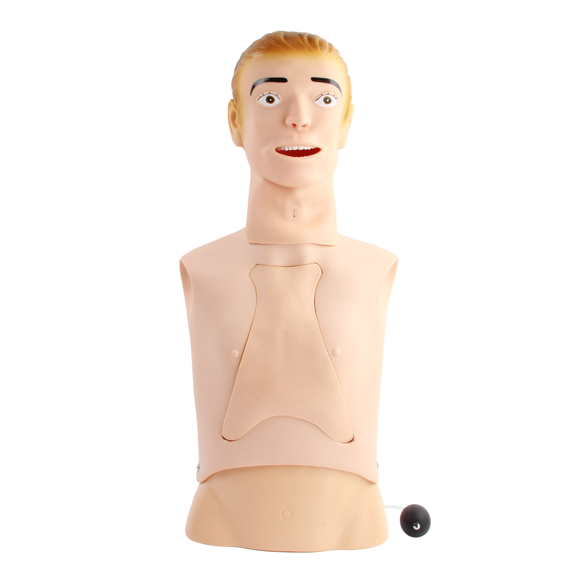 高級鼻飼管與氣（qì）管護理模型