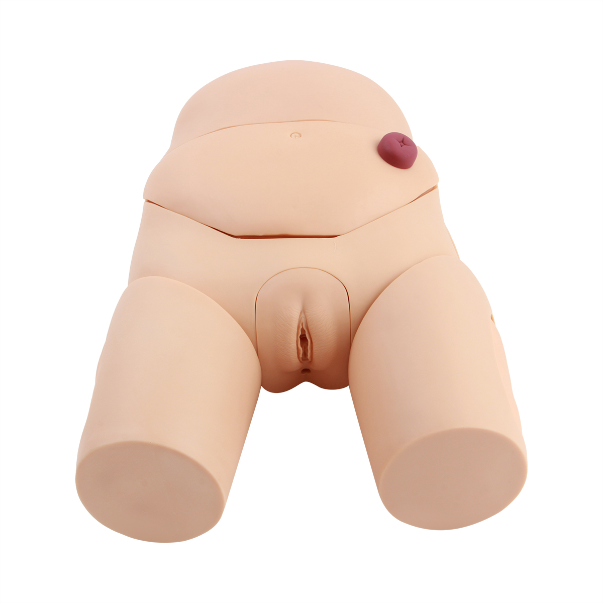 高級女性導（dǎo）尿模型