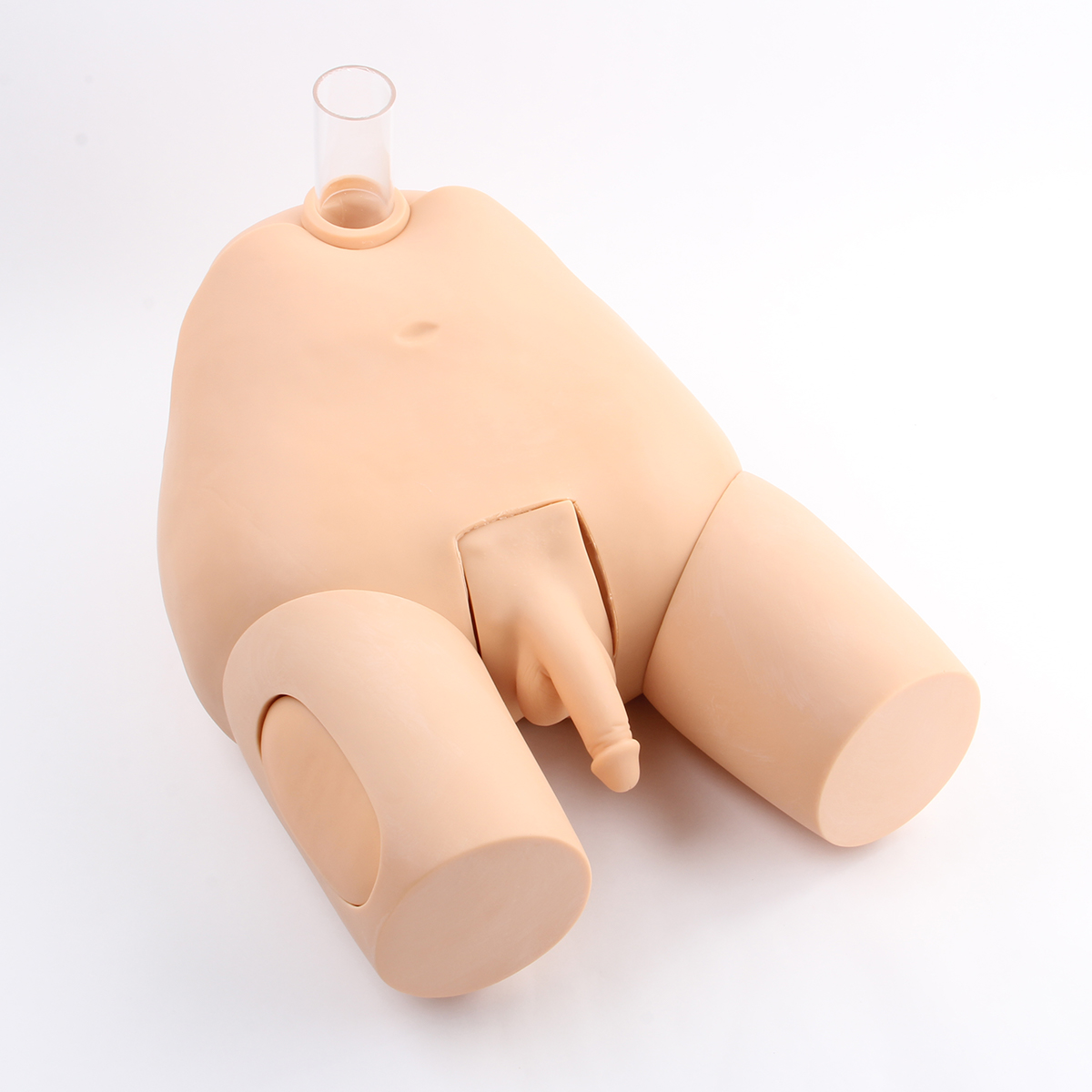 高級男性膀胱穿刺模型