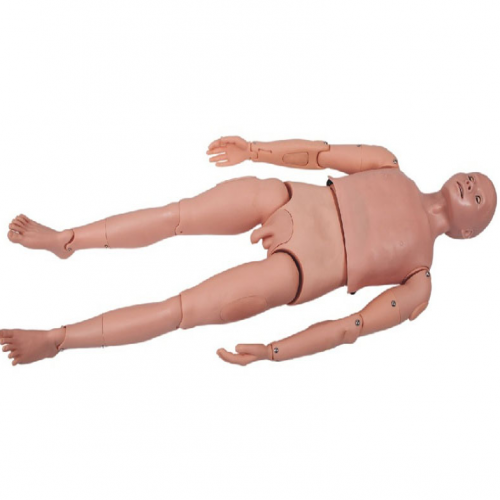 全身（shēn）術前無菌操作訓練模型