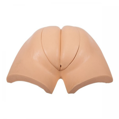 高級著裝（zhuāng）式人工取便訓練模型