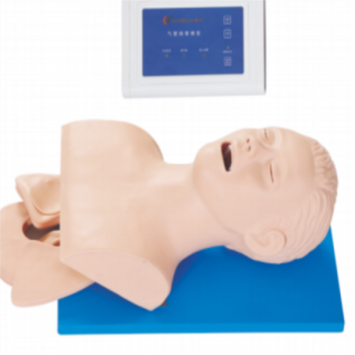 電（diàn）子（zǐ）人（rén）體氣管插管訓練模型（帶牙齒受壓警報）