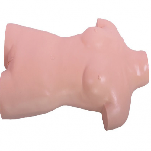 術前無菌（jun1）操作訓練模型