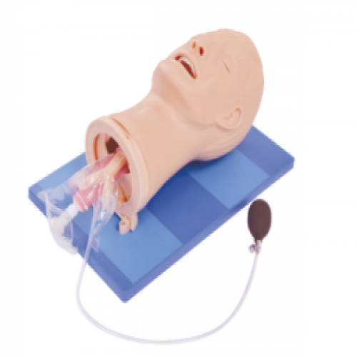 高級多功能氣道管理（lǐ）模型