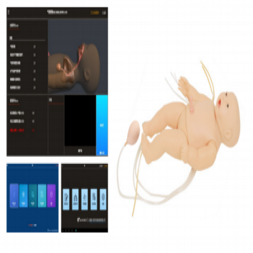 高級新生兒（ér）複蘇插管護理模擬人