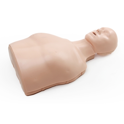 半身心肺複蘇訓練模擬人（簡易型）