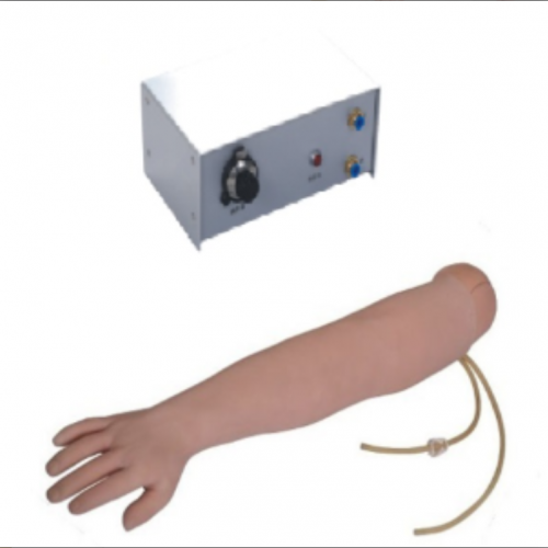   高級動脈血氣（qì）分析訓練（liàn）模型