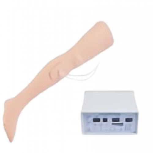 止（zhǐ）血訓（xùn）練腿（tuǐ）模型