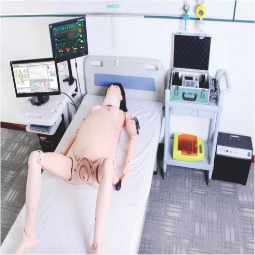 高智能數字化婦產科技（jì）能訓練係統 （計算機控製）