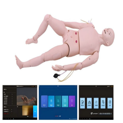 高級（jí）成人護理及CPR模型人（軟件版）