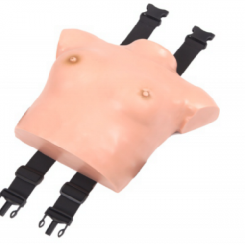 高級著裝式乳房自檢模（mó）型