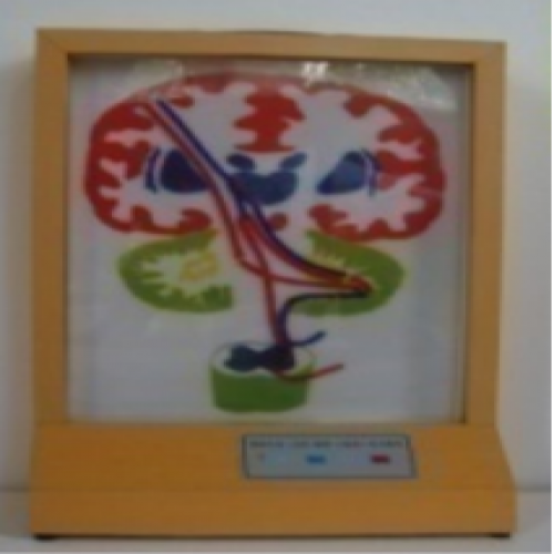 椎體外係（皮質-腦橋-小腦係）電動模型