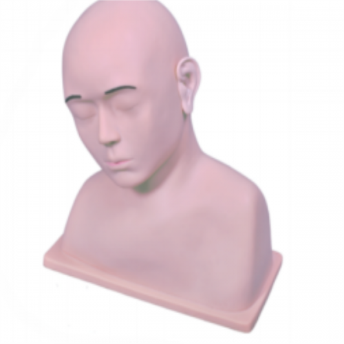 高級耳衝洗訓練模型