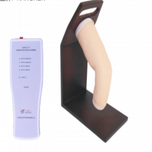 肘關節（jiē）腔內注射模型