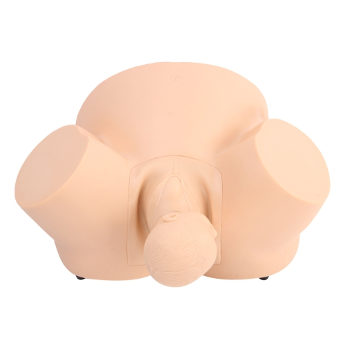 高級助產訓練模型