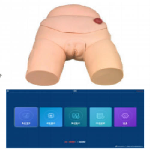 高級（jí）女性導尿模（mó）型（軟件版）