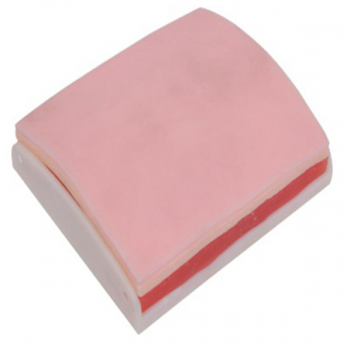 高級皮膚肌肉縫（féng）合練習模塊