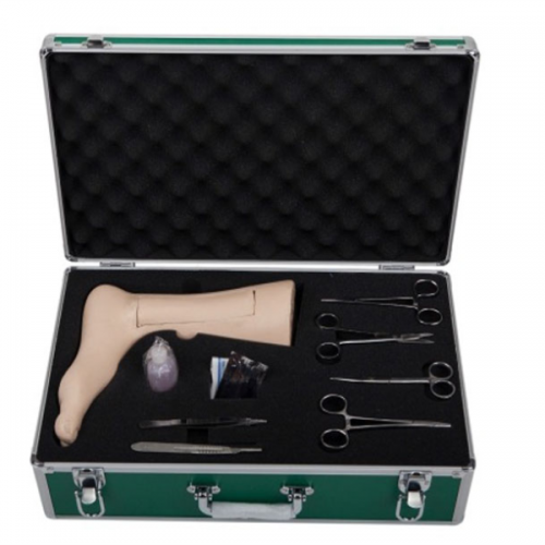  靜脈（mò）切開模型