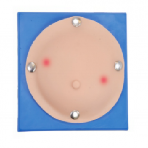 乳腺膿（nóng）腫檢查操作模型