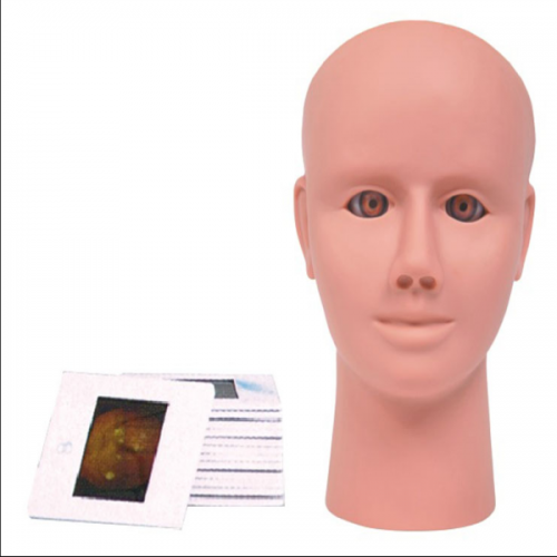 高級眼內視網膜病變檢查模型（xíng）