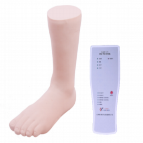 踝關節穿刺模型