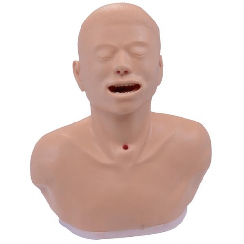 淚道衝洗模型（xíng）