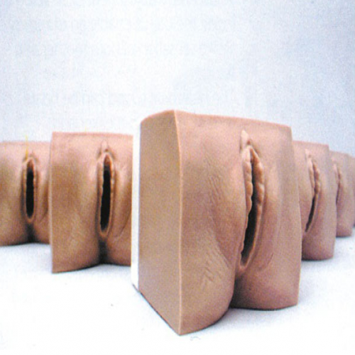 高級（jí）產前宮頸變化與產（chǎn）道關係模型