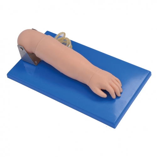 高級（jí）小兒靜脈穿刺手部模型