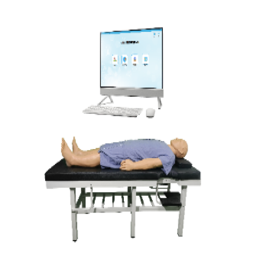 全身（shēn）穴與針灸（jiǔ）實結合訓練係統