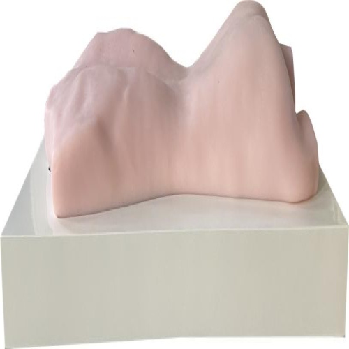 中醫智（zhì）能拔罐、刮痧、推拿、針（zhēn）刺練習模型（台式）