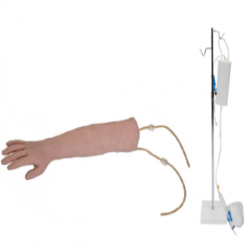 高級手臂靜脈穿刺訓練（liàn）模型