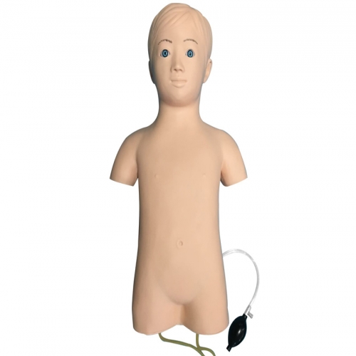  兒童股靜脈與股動脈穿刺訓練（liàn）模型