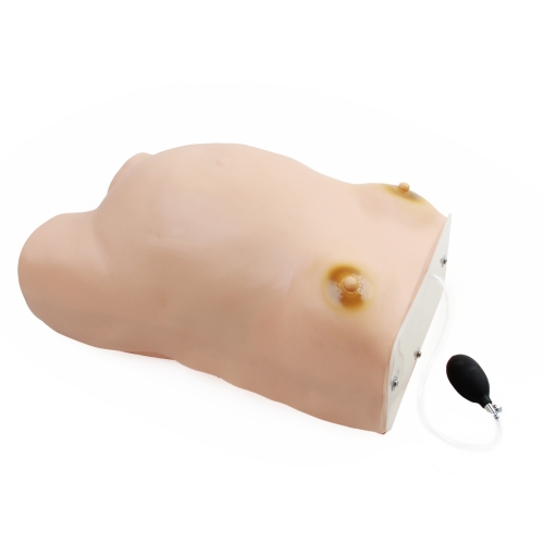 高級孕婦檢查模型