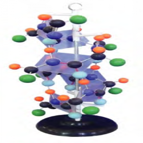 蛋白（bái）質（zhì）演示模型