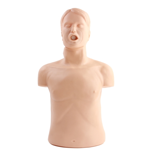 高級成（chéng）人氣道梗塞及CPR模型