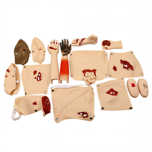 高級（jí）創傷評估模塊