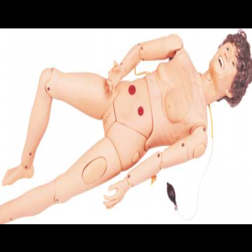 高級全功能老年護（hù）理人（女性）